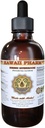 HawaiiPharm Reishi - Tonic of Emperors (Ganoderma Lucidum) Extract Tinctuur 4 fl.oz (120 ml)